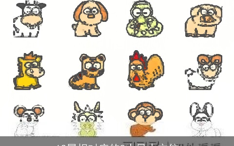 12属相对应的8大风水方位