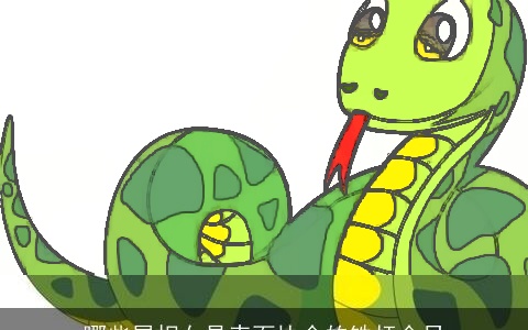 哪些属相女是表面协会的铁杆会员