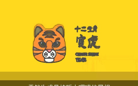 天然生成最怕听人啰嗦的属相