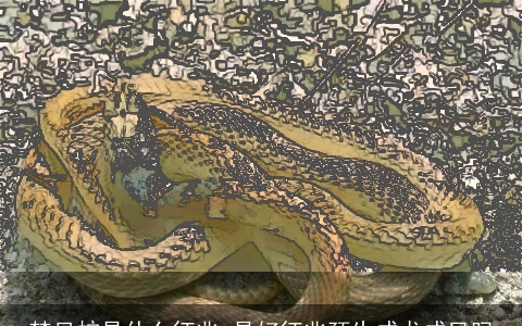 梦见蛇是什么征兆 是好征兆预生成龙成凤吗