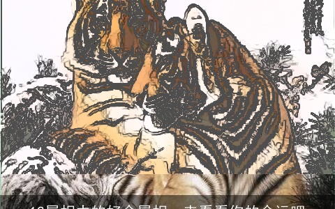 12属相中的好命属相，来看看你的命运吧