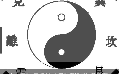 六十四卦 五行(六十四卦五行属性及旺衰)