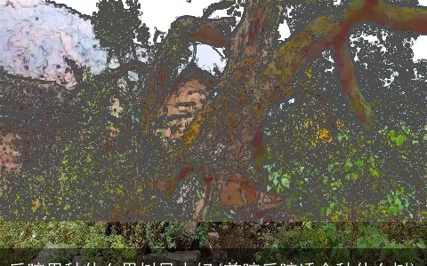 后院里种什么果树风水好(前院后院适合种什么树)