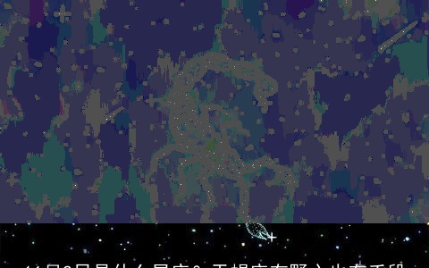 11月2日是什么星座？天蝎座有野心也有手段