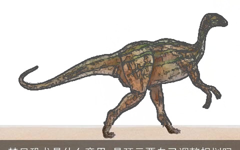 梦见恐龙是什么意思 是预示要自己调整规划吗