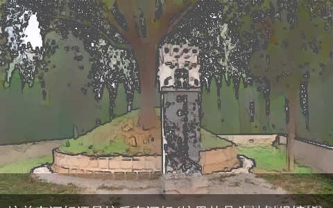 坟前有河好还是坟后有河好(坟里的骨头被树根缠绕)