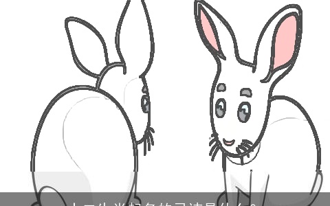 十二生肖起名的忌讳是什么？