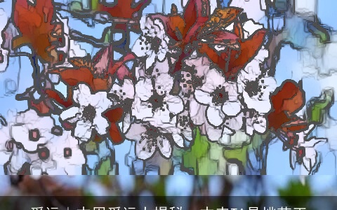 爱运｜本周爱运大揭秘，本来TA是桃花王