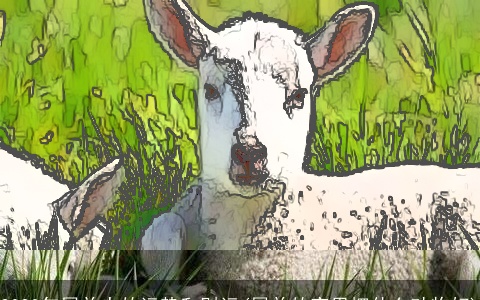 2023年属羊人的运势和财运(属羊的家里摆什么动物好)