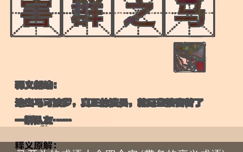 马开头的成语大全四个字(带名的褒义成语)