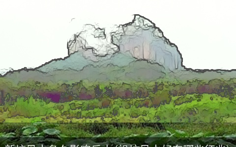 新坟风水多久影响后人(祖坟风水好有哪些征兆)