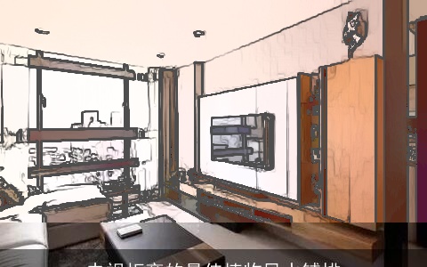 电视柜旁的最佳植物风水铺排