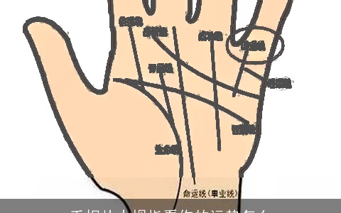 手相从大拇指看你的运势怎么
