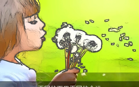 不同的下巴不同的命运