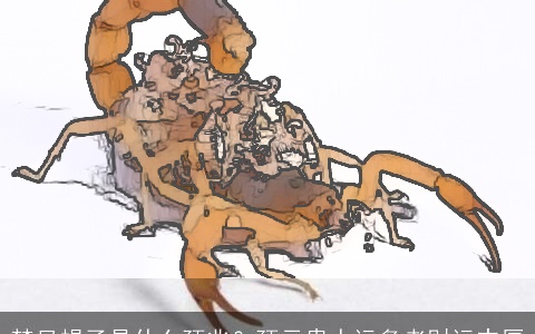 梦见蝎子是什么预兆？预示贵人运多者财运丰厚