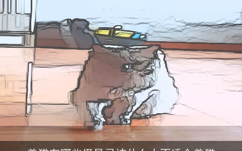 养猫有哪些怪异忌讳什么人不适合养猫