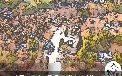 风水宝地下葬预警打雷(雷公日是什么意思)