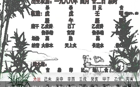 土命的人住什么朝向的房子(女命八字喜金土)