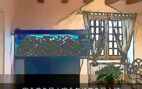 宿舍养鱼风水宿舍怎样养鱼风水好