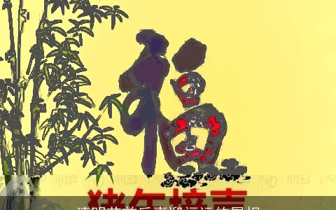 清明节前后喜迎福运的属相