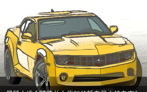 属鼠人适合请购什么原料的轿车风水镇车宝？