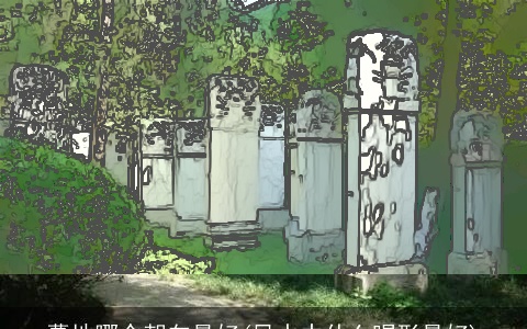 墓地哪个朝向最好(风水中什么喝形最好)