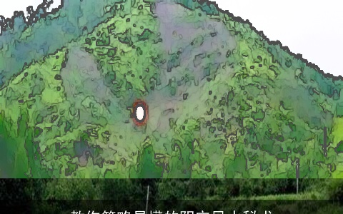 教你简略易懂的阴宅风水秘术