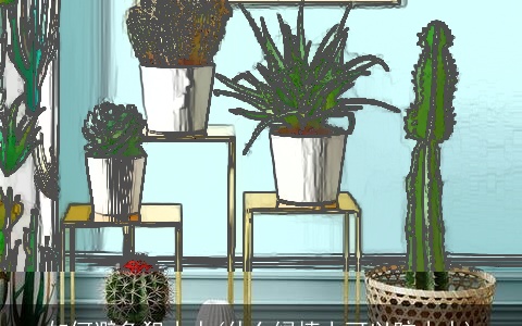 如何避免犯小人(什么绿植上可以防小人)