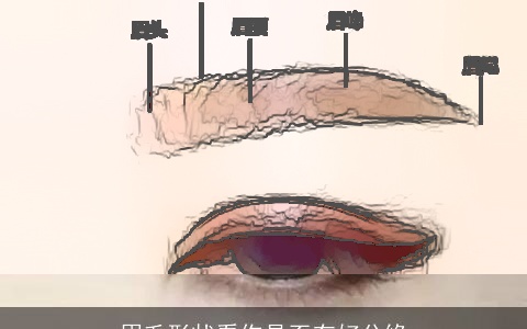 眉毛形状看你是否有好分缘