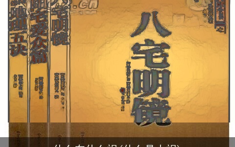 什么在什么祸(什么是人祸)