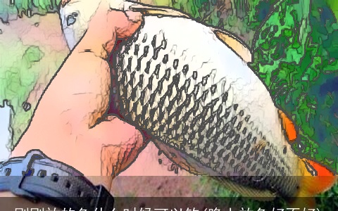 刚刚放的鱼什么时候可以钓(晚上放鱼好不好)