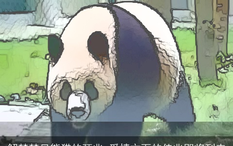 解梦梦见熊猫的预兆 爱情方面的佳兆即将到来