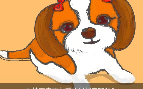 性情直爽而仁慈的属相有哪些？