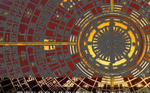 罗汉竹的风水作用(看风水真的有用吗)