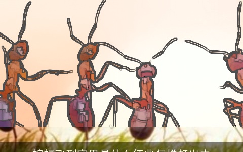 蝙蝠飞到家里是什么征兆怎样赶出去