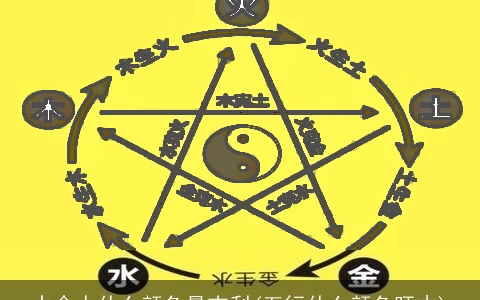 水命人什么颜色最吉利(五行什么颜色旺木)