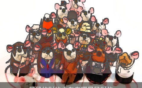 属鼠的财位方向在哪属鼠财位