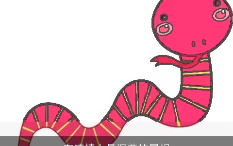 在感情上最沉着的属相