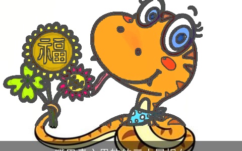 嘴巴毒心里软的三大属相女