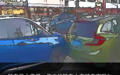 轿车风水常识：你坐的轿车上有镇车宝吗？