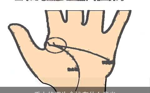 手上的双生命线有什么意义