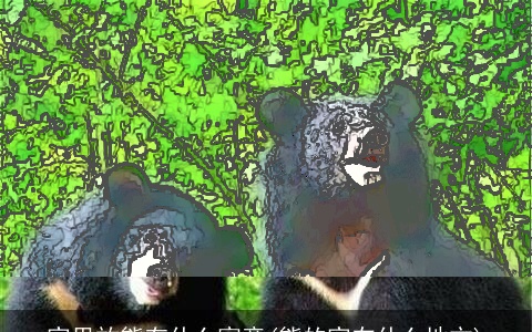 家里放熊有什么寓意(熊的家在什么地方)