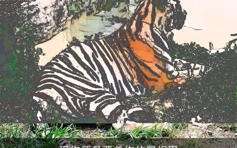 爱你便是要养你的属相男