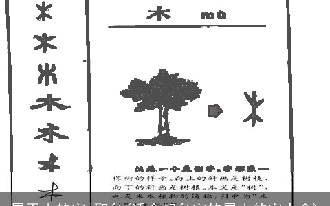 属于木的字 取名(适合起名字的属木的字大全)