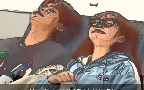 独一无二情侣网名(个性网名)