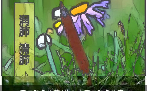 表示颜色的草(什么水表示颜色的字)