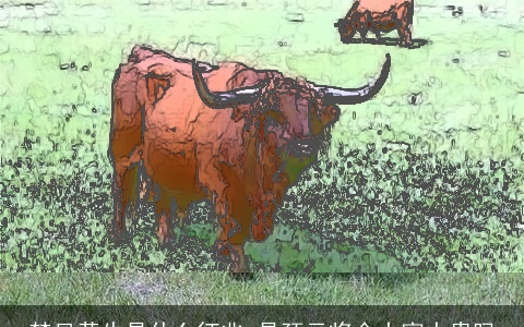 梦见黄牛是什么征兆 是预示将会大富大贵吗