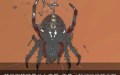 梦见蜘蛛咬是什么意思 它是一种好运的预兆吗
