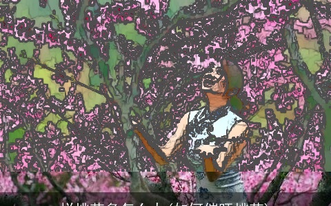 烂桃花多怎么办(如何催旺桃花)