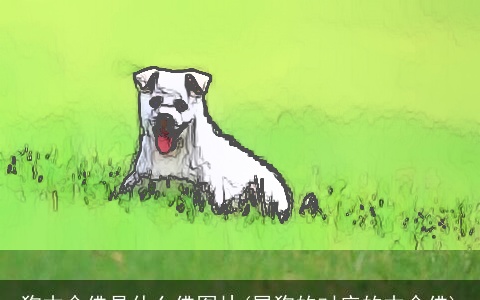 狗本命佛是什么佛图片(属狗的对应的本命佛)